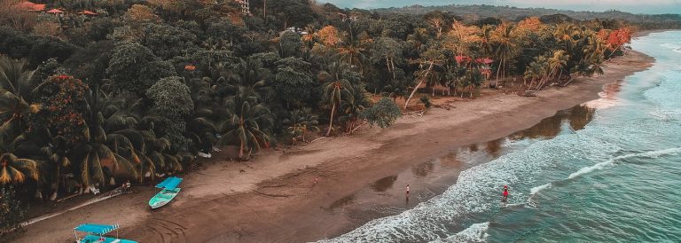 ORCAS in Costa Rica!